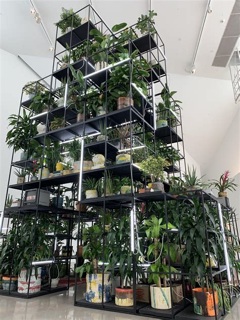 This awesome plant exhibition from my university museum 👏🏾 : r/IndoorGarden