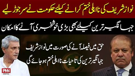 Govt In Action To End Nawaz Sharif S Lifetime Disqualification PNN