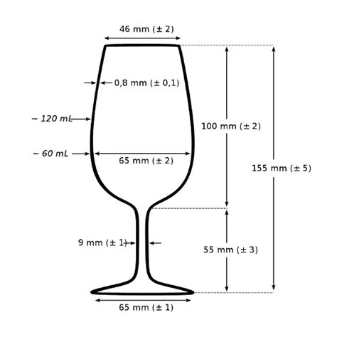 The Different Type Of Wine Glasses And How To Use Them My Wine Days