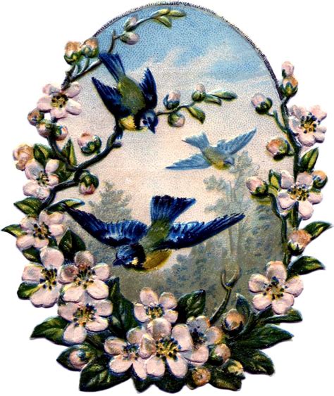 Vintage Birds With Roses Image The Graphics Fairy