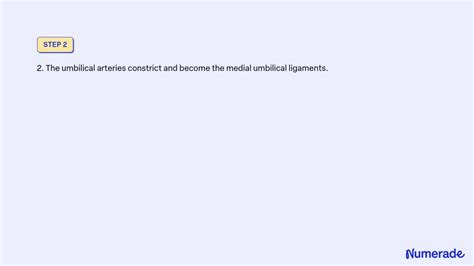 Solved The Postnatal Changes Occur As Follows The Ductus Venosus