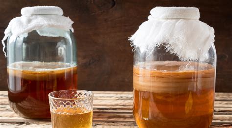 Benefits Of Kombucha You Should Know Healthkart