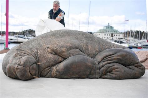 Sculpture Of Euthanized Walrus Freya Euthanized Unveiled