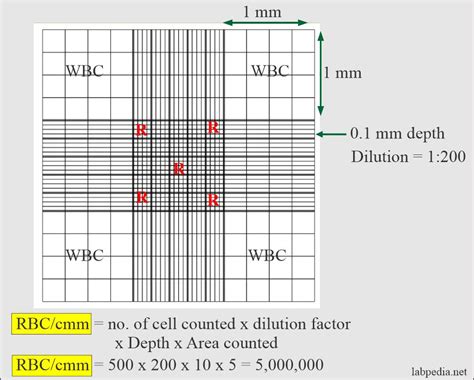 Formula For Counting The Number Of Cells