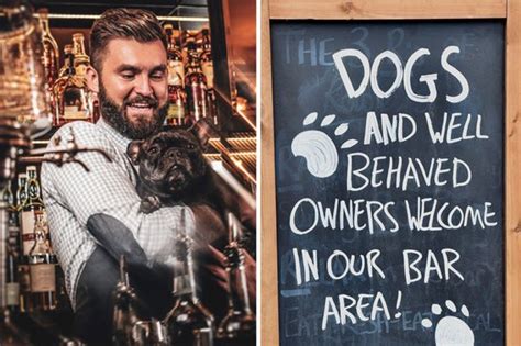 Four Hero Military Dogs Join Handlers On Charity Challenge In The