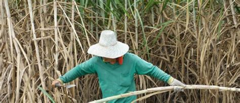 Filmmaker Casts Light On Singapore S Sex Workers Under Lockdown