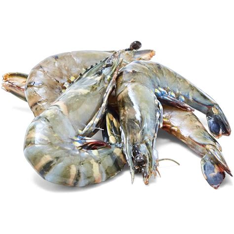 Thawed Medium Raw Australian Green Tiger Prawns Per Kg Woolworths