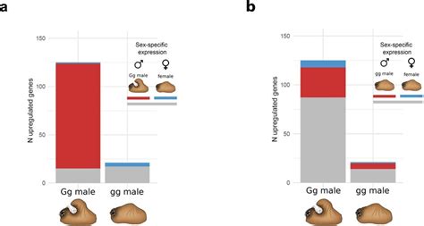 Sex Specific Expression Of Differentially Expressed Genes Between The