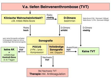 Notfallguru Extremit Tenschmerz Inkl Tvt