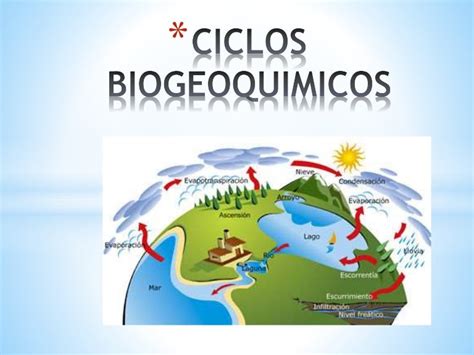 Ciclos Biogeoquimicos