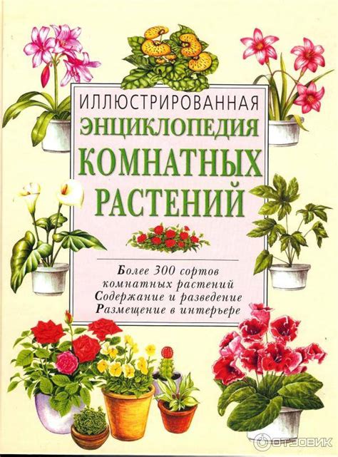 Энциклопедия комнатных растений