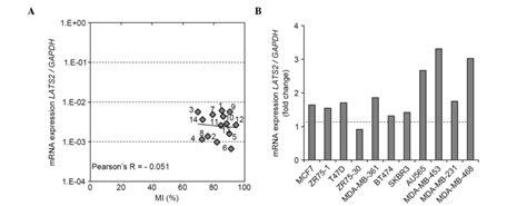 Lats2 Promoter Hypermethylation And Its Effect On Gene Expression In