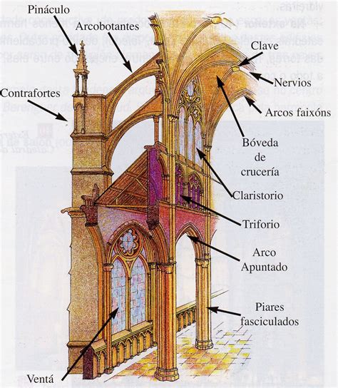 Corte Tranversal De Una Catedral Gotica Donde Se Parecia Los