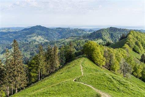 Schnebelhorn Wanderung Auf Den H Chsten Gipfel Im Kanton Z Rich