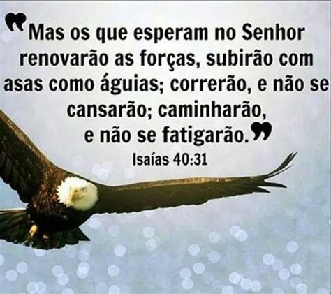 Versiculo Os Que Esperam No Senhor - Mas os que esperam no Senhor renovarão as forças... | Isaías 40 31 ...