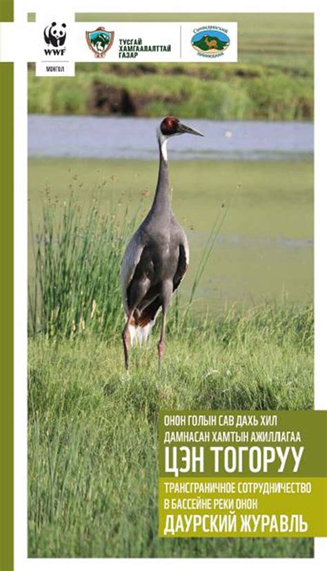 ОНОН ГОЛЫН САВ ДАХЬ ХИЛ ДАМНАСАН ХАМТЫН АЖИЛЛАГАА-ЦЭН ТОГОРУУ | WWF