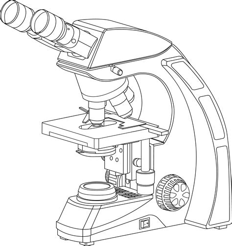 Parts Of A Microscope Drawing at GetDrawings | Free download