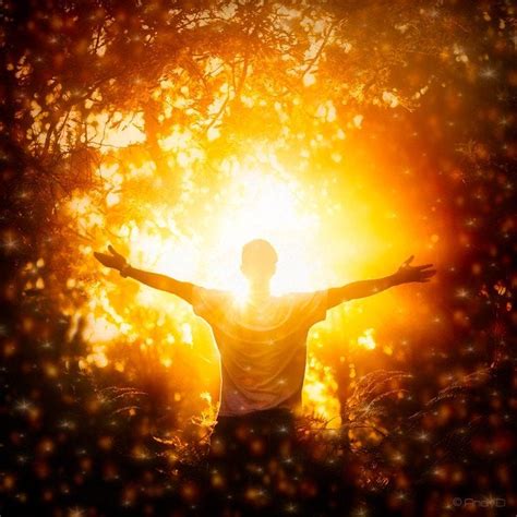 sun   wake     sun   andrew tiger