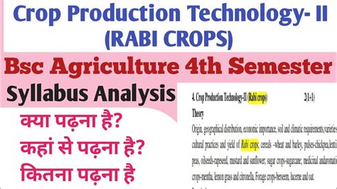 Crop Production Technology Ii Rabi Crops Syllabus Analysis Bsc