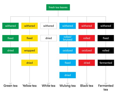 Tea Types and Production