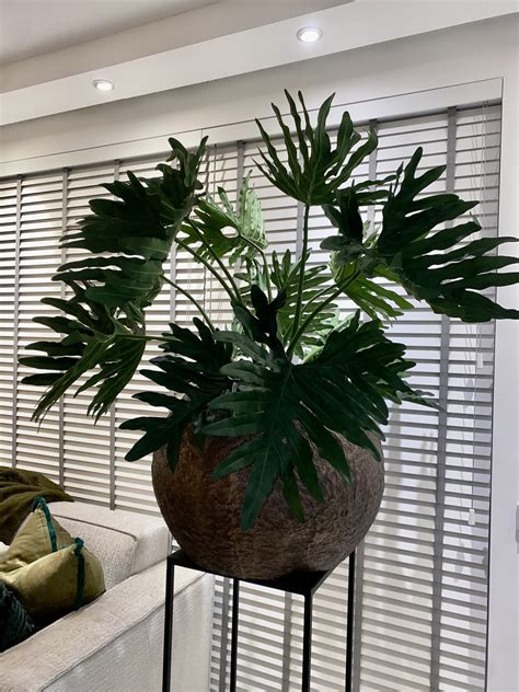 Luxe Vaas Rossi Brons Opgemaakt Met Zijde Kunstplant Philodendron