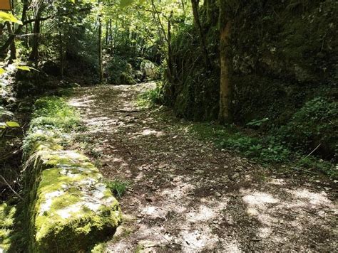 Parcours Permanents De Course D Orientation Du Secteur De La Grotte Du