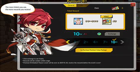 Elsword Online Premium Ib Package