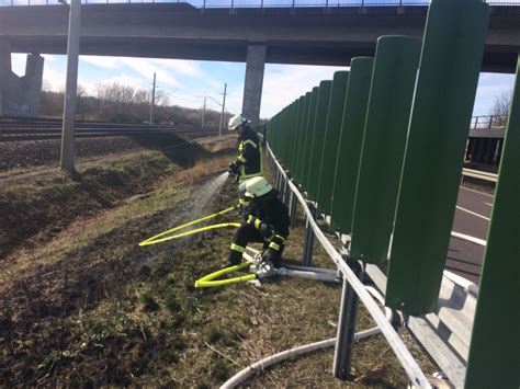 Böschungsbrand in der Nähe von Grafhorst regionalHeute de