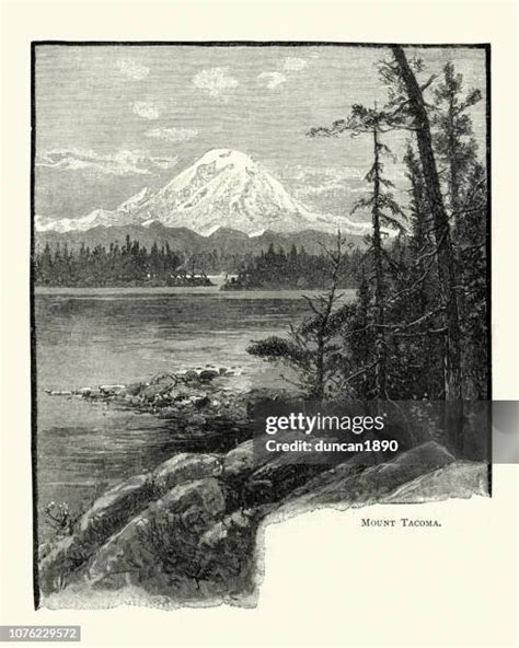 Mt Rainier Tacoma Photos And Premium High Res Pictures Getty Images