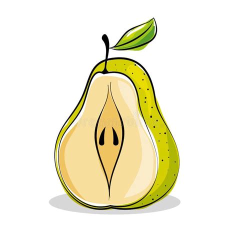 Icono Del Dibujo De La Fruta Fresca De La Pera Ilustraci N Del Vector