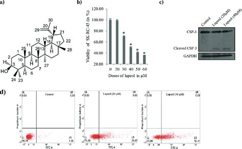 Structure And Effect Of Lupeol On The Viability Of Sk Rc Control