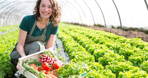 Greenhouse Vegetables - Greenhouse Vegetable Gardening : In order to ...