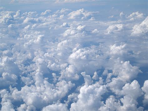 flying   sky  photo  freeimages