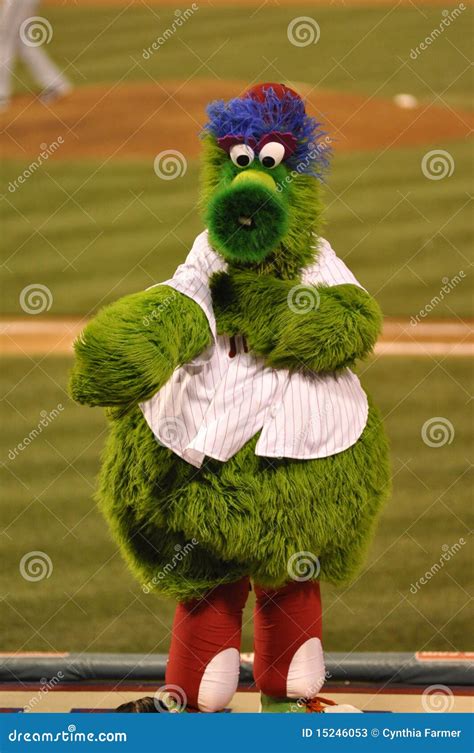 Phillie Fanatic Editorial Stock Photo Image Of Major 15246053