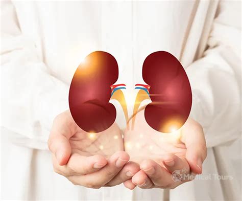 Kidney Transplant Cost In India Medical Tours