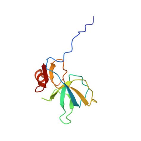 RCSB PDB 8XQB Mature Virion Portal Vertex Of Bacteriophage Lambda