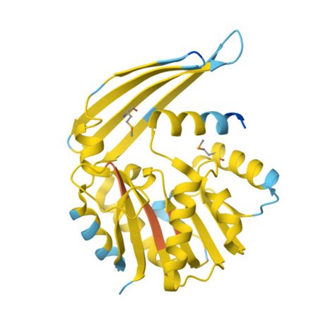 Rcsb Pdb 1y8c Crystal Structure Of A S Adenosylmethionine Dependent