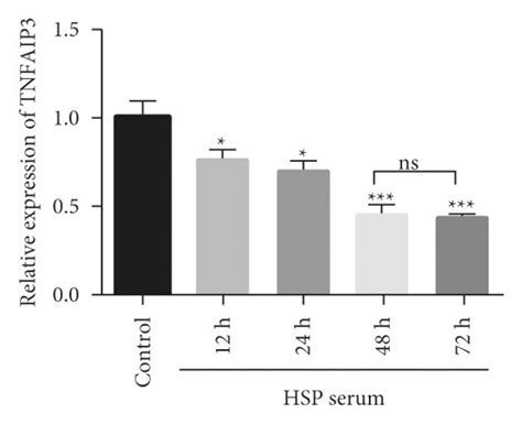 Let A Affects Vascular Endothelial Cell Apoptosis By Targeting Tnfaip