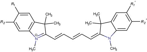 Molecular structure of a Cy5... | Download Scientific Diagram