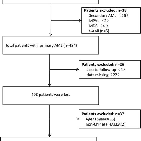 Flowchart Of Patient Selection Abbreviations AML Acute Myeloid