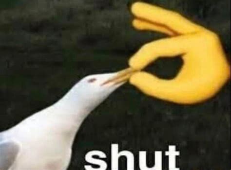 Shut Meme Generator