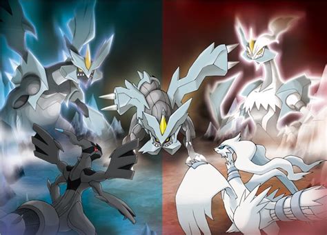 All Legendary Pokemon Black And White