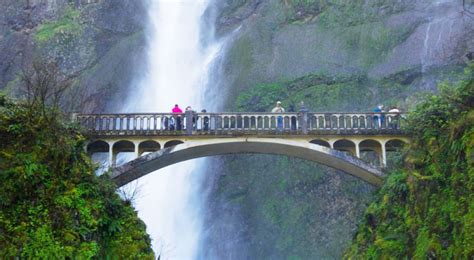 Best Time To Visit Corbett Waterfall (Jim Corbett) In 2025