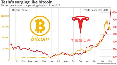 Teslas Surging Stock Is Starting To Remind Wall Street Of Bitcoins