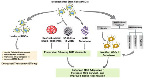 Emerging Strategies in Mesenchymal Stem Cell-Based Cardiovascular
