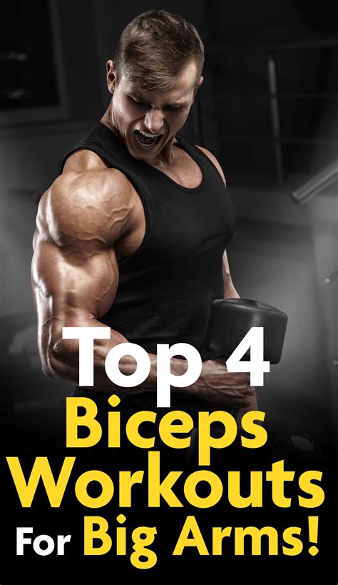 4 Biceps Workouts For Bigger Arms THEBODYBUILDINGBLOG Biceps