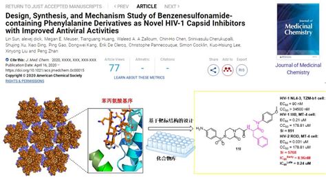 刘新泳教授团队在抗病毒药物研究领域取得系列新进展 齐鲁医学院人事人才办公室