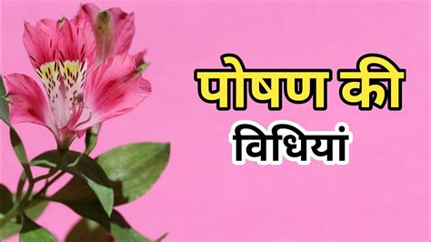 पषण क वधय poshan ki vidhiyan YouTube