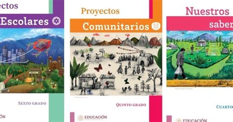 Estos Estados Congelaron La Distribución De Libros De Texto Diario Locomento