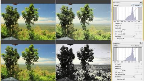 Picture Style Canon – Z| Download – Denai Ghozaliq